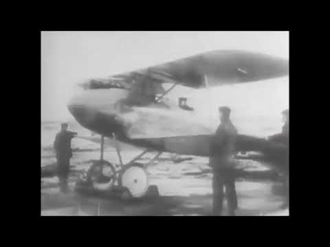 German Albatros D.III