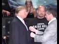 Donald Trump slapping Vince McMahon