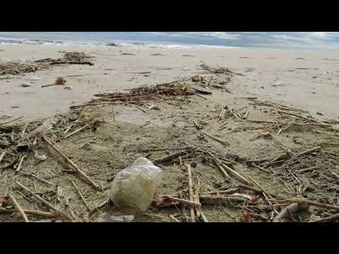 Jersey Shore Beach Clean Up