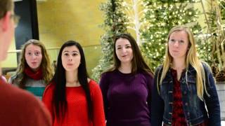 December Song- Peter Hollens Cover Contest Submission