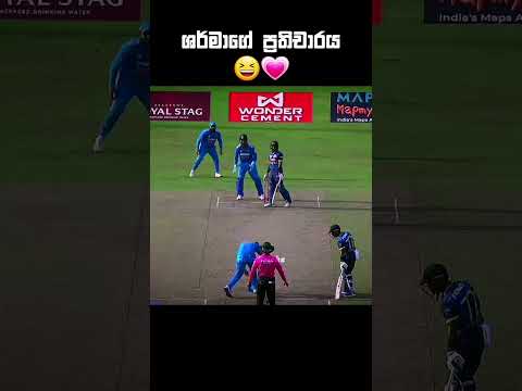 ඌ විහිළුවට වුනත් කරපු දේ හරි බං😌 #helacricks #rohitsharma #cricketshorts #trendingshorts #slvsind