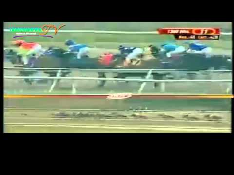 la rinconada 11 carrera domingo 25 de mayo del 2014