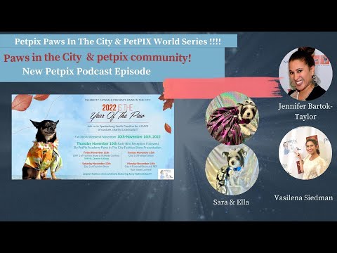 Petpix Paws In The City & PetPIX World Series - Pet Fashion with Sara Domyan and Miss Ella