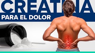 La Creatina 👉 es PERFECTA para los dolores de espalda