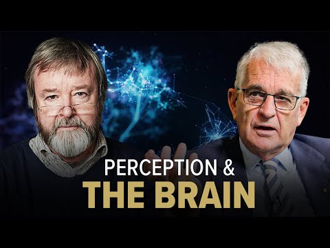 Psychiatrist Explains The Difference Between Right and Left Brain | Dr Iain McGilchrist