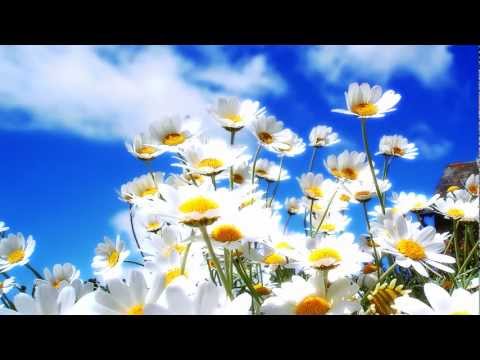 Koca Metallec feat. Woja CF - Prolece Je Tu (Serbian Rap) 2012