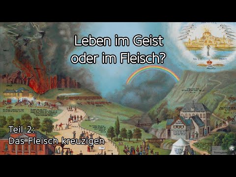 Videovorschau