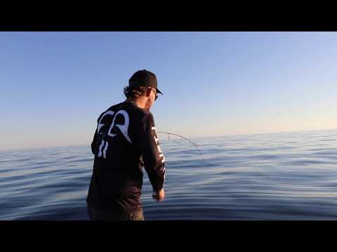 GOLDEN TREVALLY 50km offshore : glass out