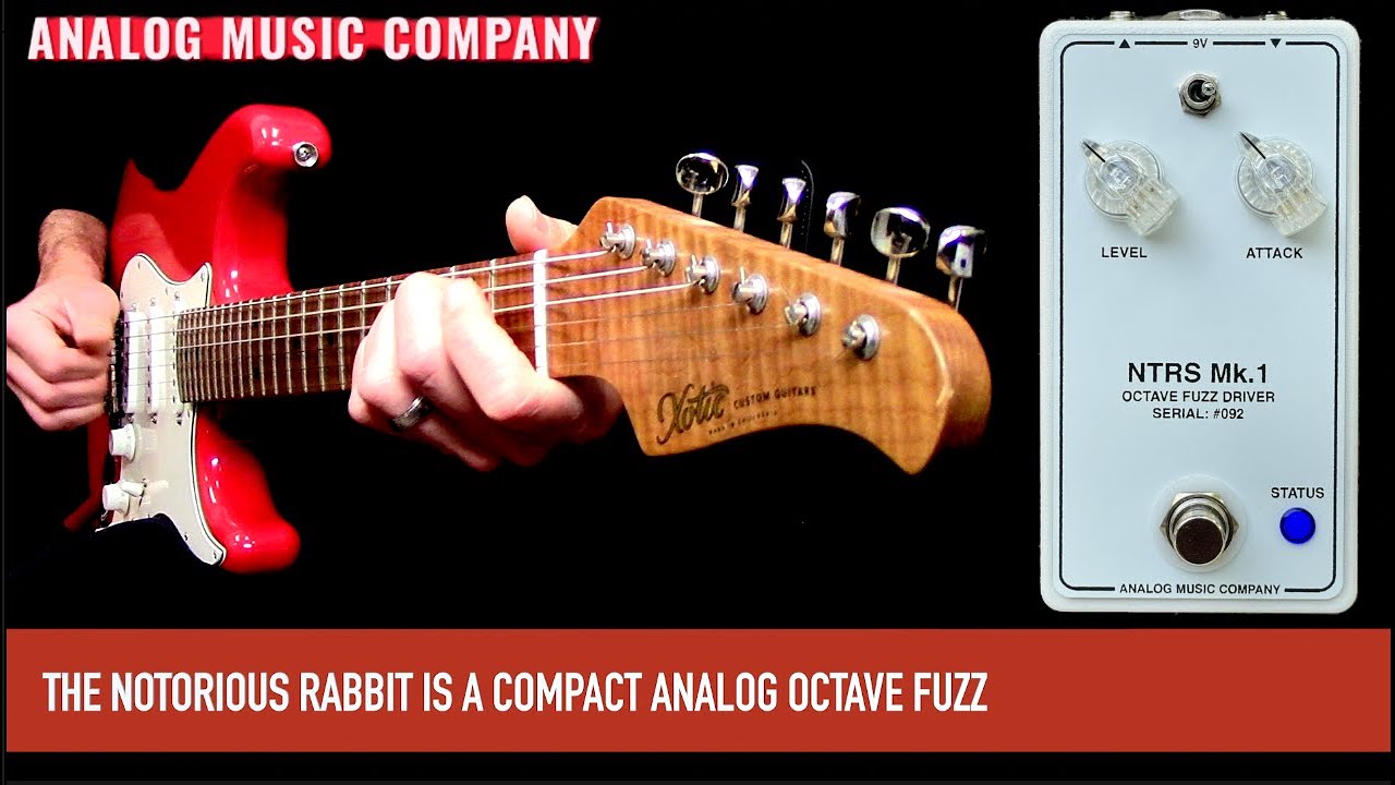 NOTORIOUS RABBIT DEMO BY MIKE HERMANS thumbnail
