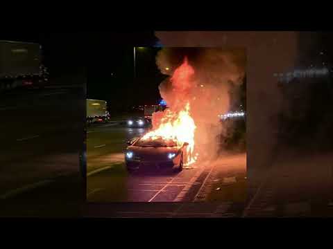 Dyan Dxddy -  Genexix