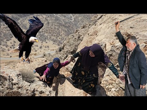 ⚡️ A Hard Day’s Work in the Mountains