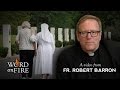 Fr. Robert Barron on Anti-Catholic Prejudice - YouTube