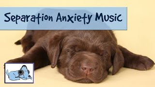 30+ Minutes of Relaxing Dog Music. Calming Sounds to Relax Anxious Dogs - Separation Anxiety Cured!