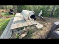 They Ve Got Zoomies Today Goat Run Jump Play Funny