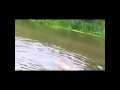 Всемогущий Бог бежит по воде 