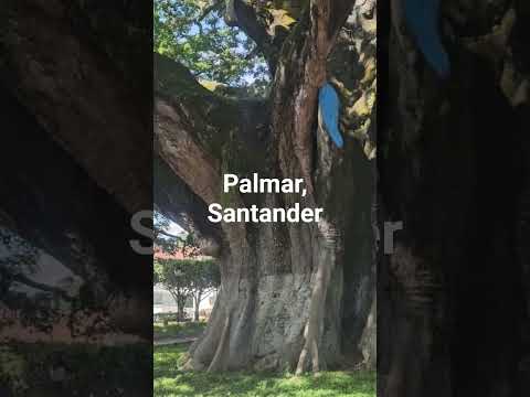 Palmar, Santander