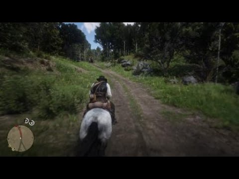 RDR2 méfiez vous des inconnus