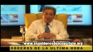 DEJANDONOS IMPACTAR POR LA LUZ DEL EVANGELIO VIDEO #22