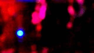 April Smith &amp; The Great Picture Show performs "Drop Dead Gorgeous" @ Asbury Lanes (12/10/10)