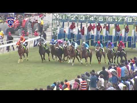 RM11 R2 - Rock On Geordies(J.Allyhosain)