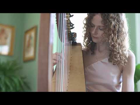 Promotional video thumbnail 4 for Pamela Bruce