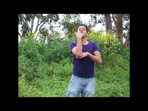 Stronger (Kelly Clarkson) International Sign Language (ISL)