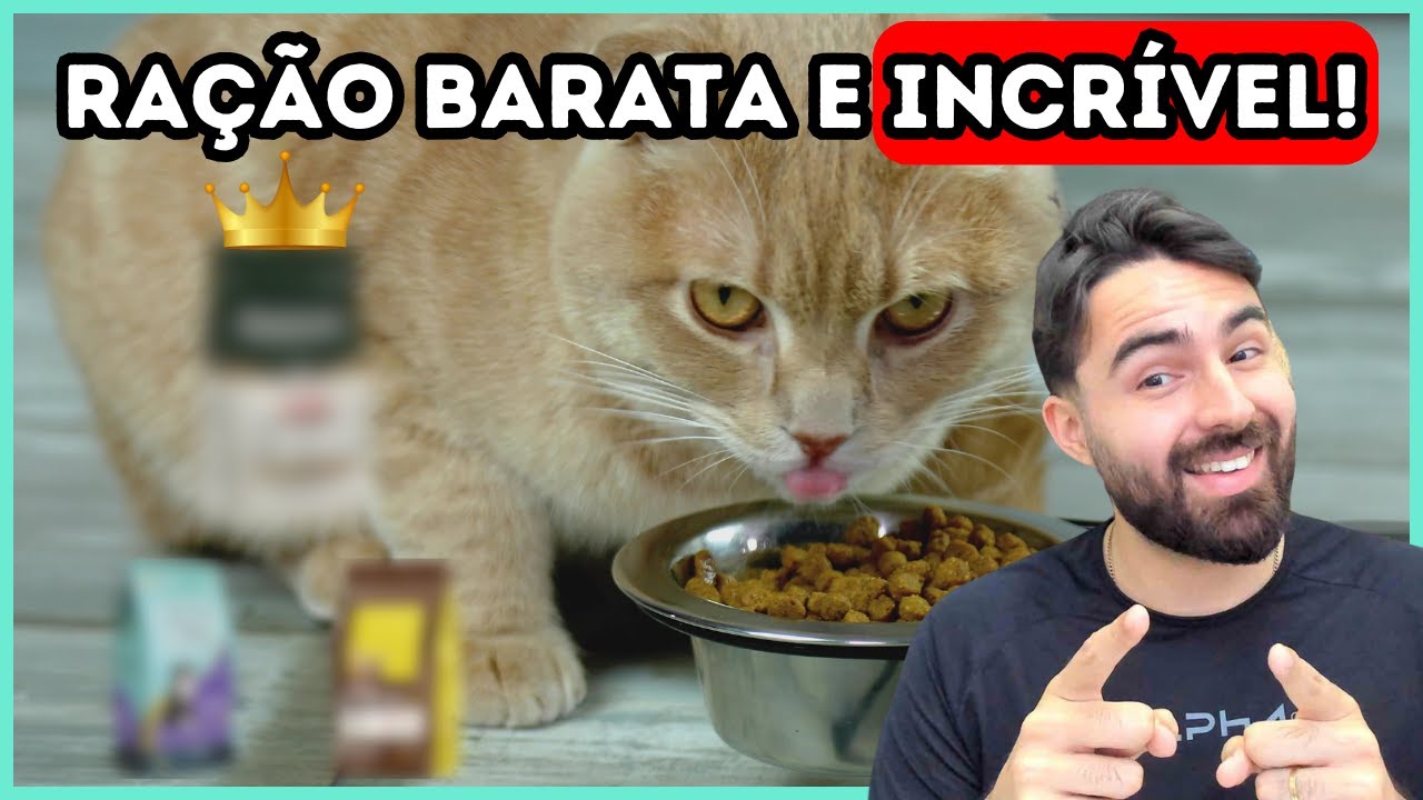 As Rações MAIS BARATAS E INCRÍVEIS Para Gatos!