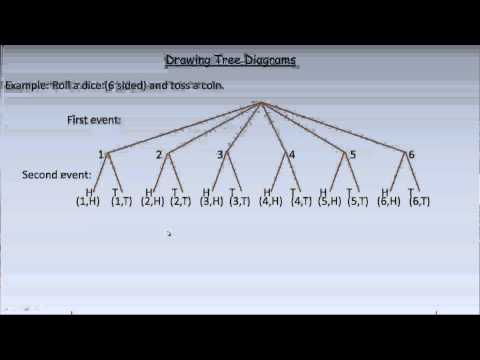 Drawing a Tree Diagram