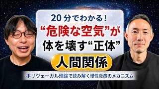 【20分凝縮版】人間関係という抗炎症薬 ― ストレスで病気になる本当の理由