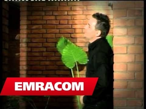 Mentor Kurtishi  Shpija pa nane