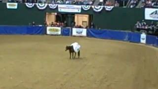 preview picture of video 'Stacy Westfall at Dixie National Freestyle Reining 2-17-12, Jackson MS'