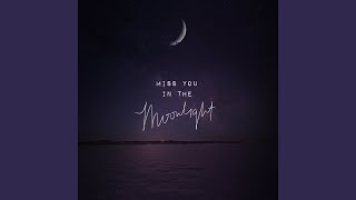 Miss You in the Moonlight