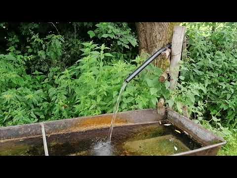 Pastravaria Măgești. Izvorul de la Dobricionesti. Alături de www.cazarealesd.ro