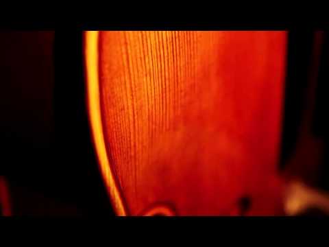 Emanuel Wilfer - Double Bass, 5 strings Modell