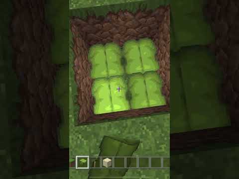 *NO MODS* QuickSand Tutorial In Minecraft 1.20+ #shorts