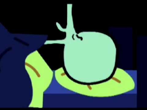 Pick a Winner trailer