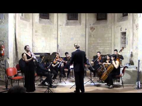 Carl Stamitz Klarinettenkonzert Nr. 3 B-Dur