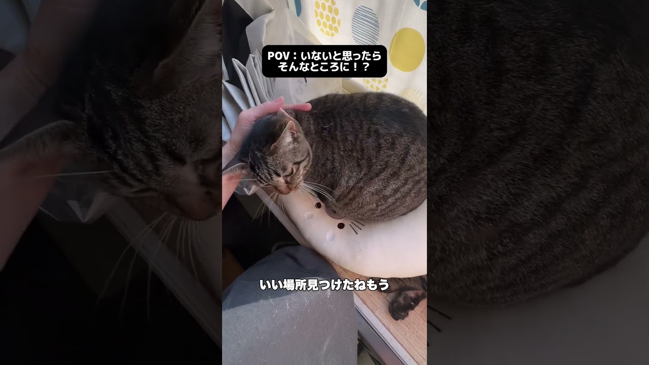 日差しが暖かい時期になりましたね。でもそんなところで寝んでも・・・w