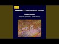 Concerto for Violin and Cello in D Minor: III. Rondo. Allegro moderato