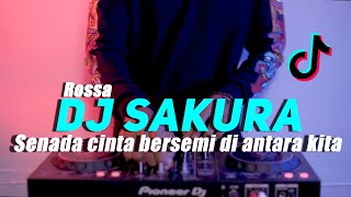 Download lagu DJ SENADA CINTA BERSEMI DIANTARA KITA REMIX | ROSSA SAKURA VIRALL TIKTOK FULLBASS 2022 mp3
