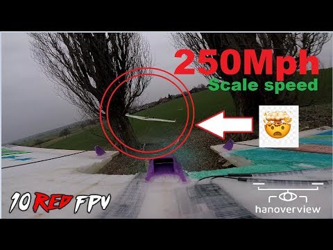 wing-racing-2019--quotshowracequot