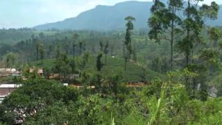 preview picture of video 'Train Journey from Kandy to Nuwara Eliya, Sri Lanka'