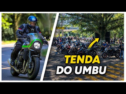 De Z900RS Café até a Tenda do Umbu | Motovlog na BR-116 (Picada Café–RS)