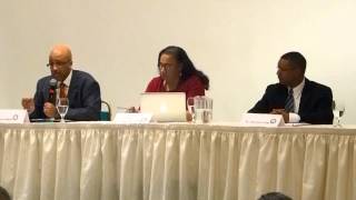 preview picture of video 'Kansas City Mo. 2013 Black History Celebration part 2 (panel discussion part 1)'