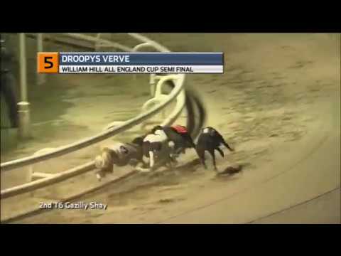 2018 WILLIAM HILL ALL ENGLAND CUP - 2ND SEMI - T5 DROOPYS VERVE
