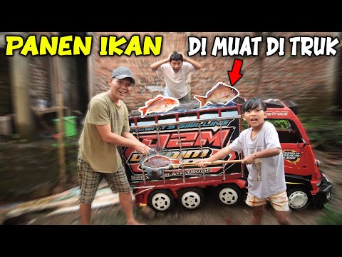 PERTAMA TRUK DIMAS MUATAN IKAN NILA!! SERU BANGET NANGKAP IKAN NYA..