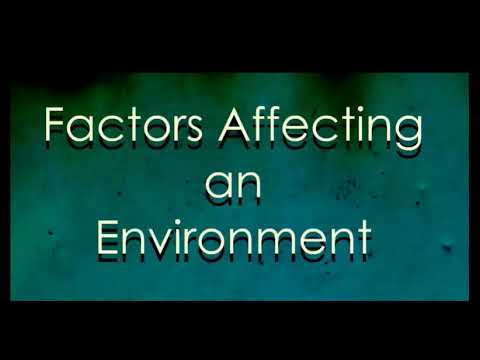 What is environment, what are the factors that affect the environment?