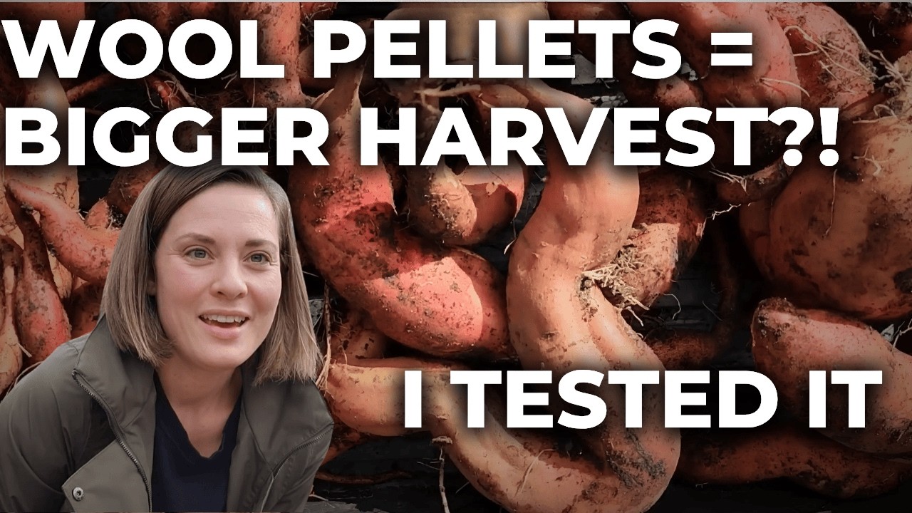 I tested Sheep Wool Fertilizer. DID IT WORK?