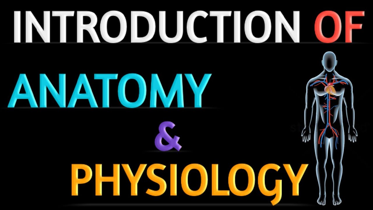 Watch video Introduction Of Anatomy and Physiology // Anatomy and Physiology For Nursing Students Now Introduction Of Anatomy and Physiology // Anatomy and Physiology For Nursing Students