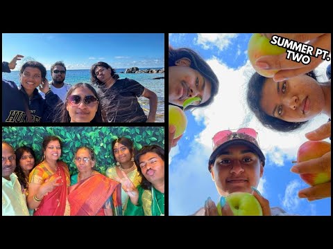 predicament summer days ~ double weddings, beach, tobermory + more